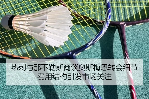 热刺与那不勒斯商谈奥斯梅恩转会细节费用结构引发市场关注
