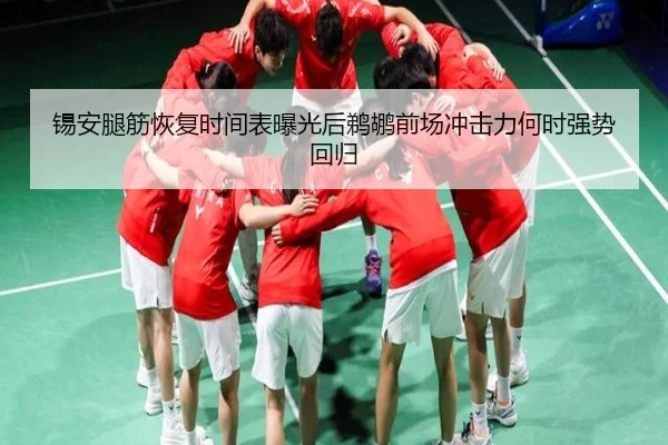 锡安腿筋恢复时间表曝光后鹈鹕前场冲击力何时强势回归