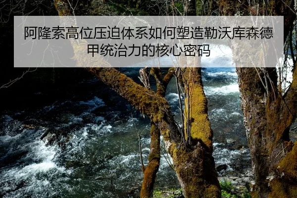 阿隆索高位压迫体系如何塑造勒沃库森德甲统治力的核心密码