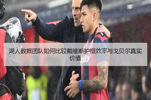 湖人数据团队如何比较戴维斯护框效率与戈贝尔真实价值