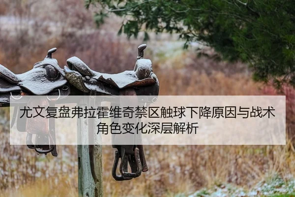 尤文复盘弗拉霍维奇禁区触球下降原因与战术角色变化深层解析