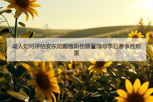 湖人如何评估安东尼戴维斯伤病管理与季后赛争胜前景
